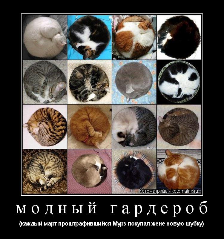 модный гардероб (каждый март проштрафившийся Мурз покупал жене новую шубку)... Котоматрица: модный гардероб (каждый март проштрафившийся Мурз покупал жене новую шубку)
