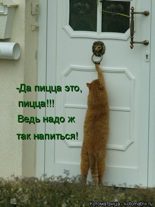 -Да пицца это, пицца!!! Ведь надо ж так напиться!... Котоматрица: -Да пицца это, пицца!!! Ведь надо ж так напиться!