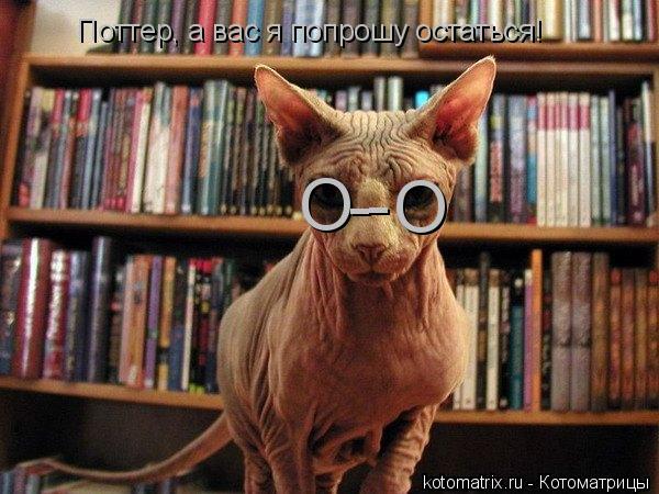 Поттер, а вас я попрошу остаться! О О - -... Котоматрица: Поттер, а вас я попрошу остаться! О О - -