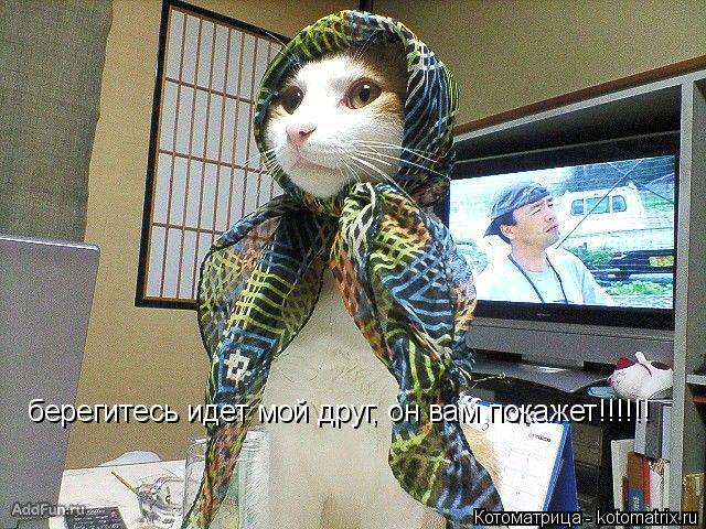 берегитесь идет мой друг, он вам покажет!!!!!!... Котоматрица: берегитесь идет мой друг, он вам покажет!!!!!!