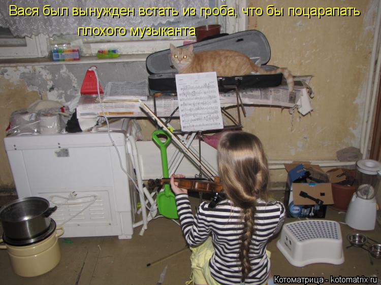 Вася был вынужден встать из гроба, что бы поцарапать плохого музыканта... Котоматрица: Вася был вынужден встать из гроба, что бы поцарапать плохого музыканта