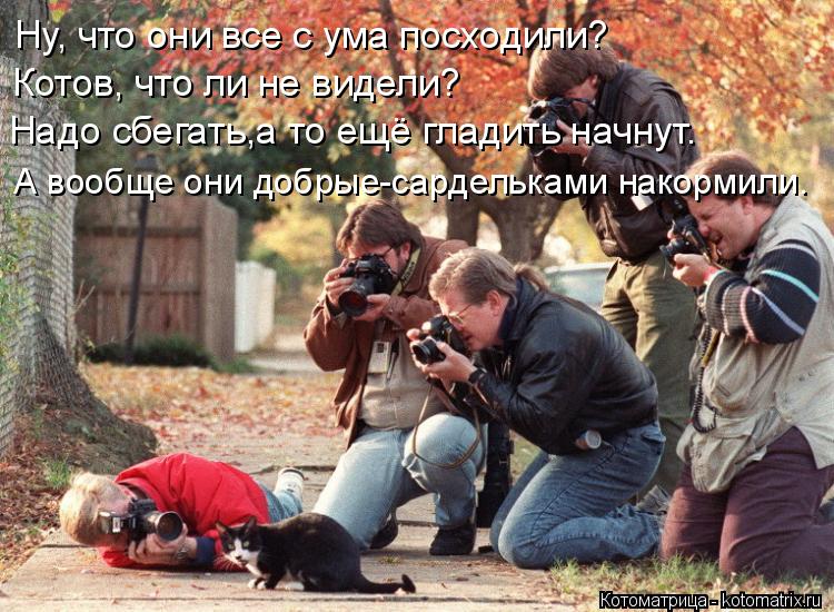 Ну, что они все с ума посходили? Котов, что ли не видели? Надо сбегать,а то ещё гладить начнут. А воо... Котоматрица: Ну, что они все с ума посходили? Котов, что ли не видели? Надо сбегать,а то ещё гладить начнут. А вообще они добрые-сардельками накормили.
