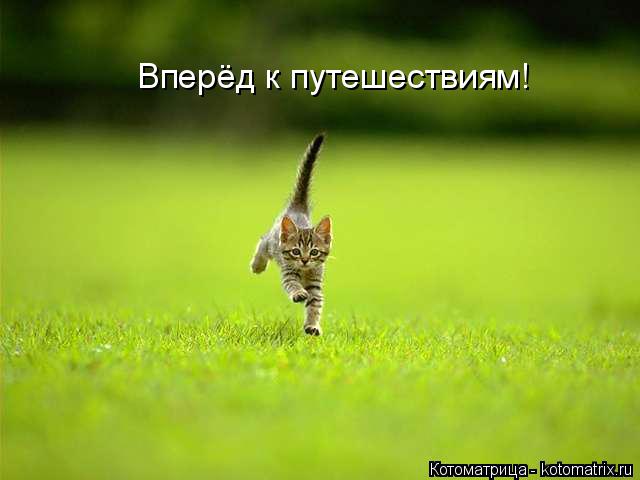 Вперёд к путешествиям!... Котоматрица: Вперёд к путешествиям!
