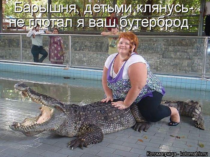 Барышня, детьми клянусь- не глотал я ваш бутерброд.... Котоматрица: Барышня, детьми клянусь- не глотал я ваш бутерброд.