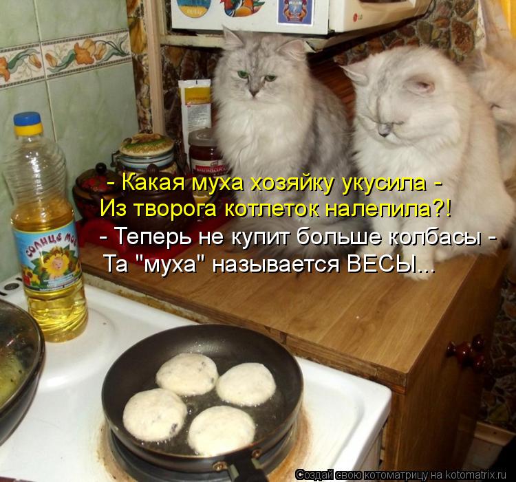 - Какая муха хозяйку укусила - Из творога котлеток налепила?! - Теперь не купит больше колбасы - Та... Котоматрица: - Какая муха хозяйку укусила - Из творога котлеток налепила?! - Теперь не купит больше колбасы - Та "муха" называется ВЕСЫ...