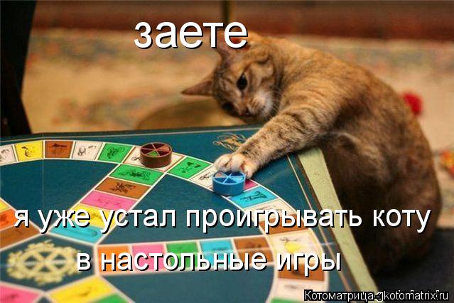 заете я уже устал проигрывать коту в настольные игры... Котоматрица: заете я уже устал проигрывать коту в настольные игры