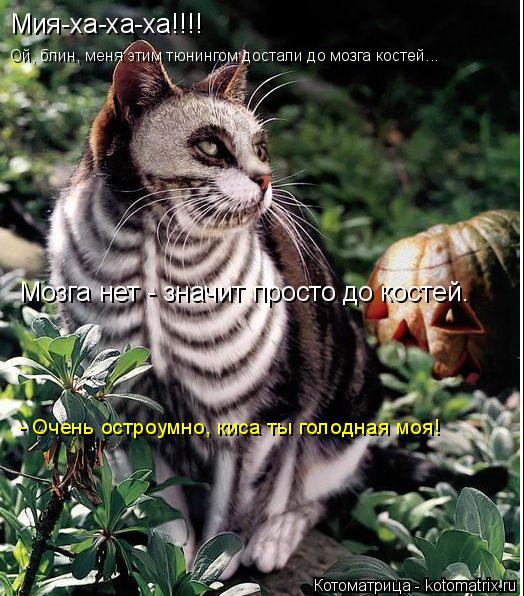 Мия-ха-ха-ха!!!! Ой, блин, меня этим тюнингом достали до мозга костей... Мозга нет - значит просто до... Котоматрица: Мия-ха-ха-ха!!!! Ой, блин, меня этим тюнингом достали до мозга костей... Мозга нет - значит просто до костей. - Очень остроумно, киса ты голодная