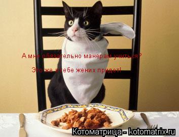 А мне обязательно манерам учиться? Это же к тебе жених придет! Это же к тебе жених придет!... Котоматрица: А мне обязательно манерам учиться? Это же к тебе жених придет! Это же к тебе жених придет!