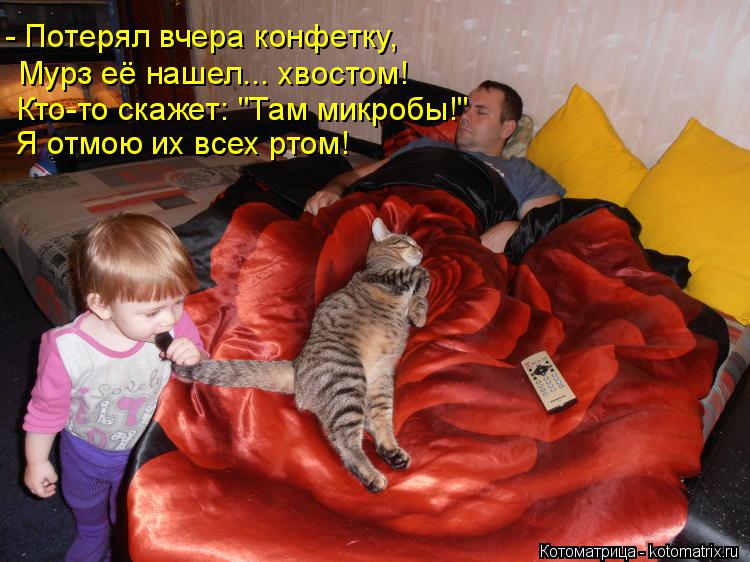 - Потерял вчера конфетку, Мурз её нашел... хвостом! Кто-то скажет: "Там микробы!" Я отмою их всех рто... Котоматрица: - Потерял вчера конфетку, Мурз её нашел... хвостом! Кто-то скажет: "Там микробы!" Я отмою их всех ртом!