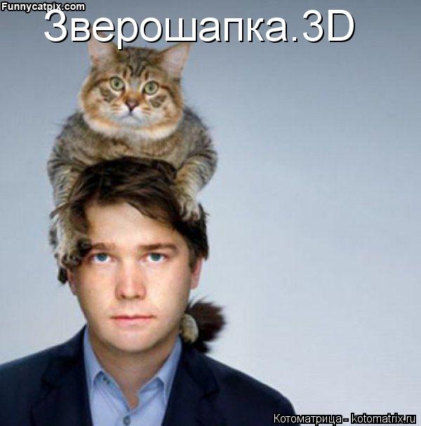 Зверошапка.3D... Котоматрица: Зверошапка.3D