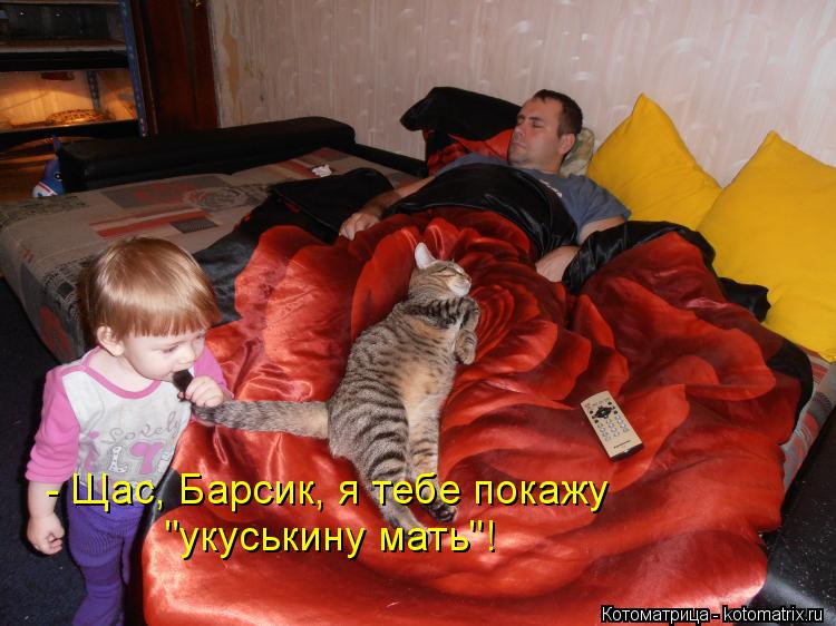 Котоматрица: - Щас, Барсик, я тебе покажу "укуськину мать"!