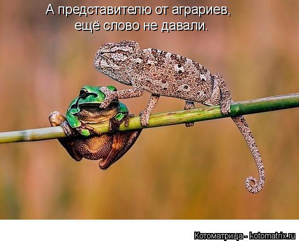 А представителю от аграриев, ещё слово не давали.... Котоматрица: А представителю от аграриев, ещё слово не давали.