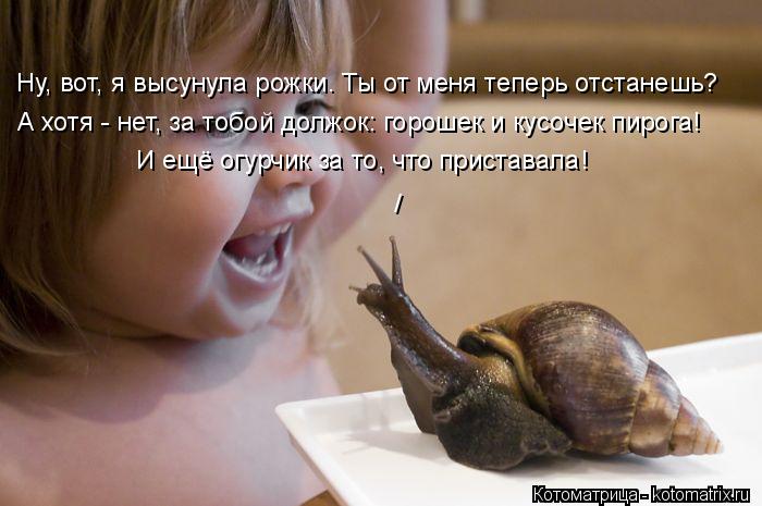 Ну, вот, я высунула рожки. Ты от меня теперь отстанешь? А хотя - нет, за тобой должок: горошек и кусо... Котоматрица: Ну, вот, я высунула рожки. Ты от меня теперь отстанешь? А хотя - нет, за тобой должок: горошек и кусочек пирога! И ещё огурчик за то, что пристав
