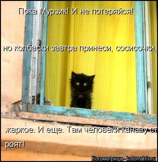 Пока Мурзик! И не потеряйся! но колбаски завтра принеси, сосисочки, жаркое. И еще. Там человеки канав... Котоматрица: Пока Мурзик! И не потеряйся! но колбаски завтра принеси, сосисочки, жаркое. И еще. Там человеки канаву строят! жаркое. И еще. Там человеки кан