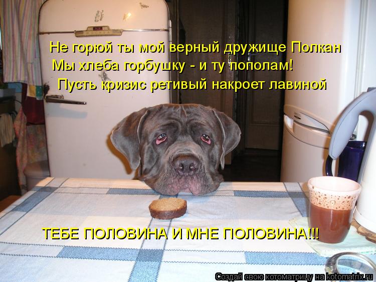 Не горюй ты мой верный дружище Полкан Мы хлеба горбушку - и ту пополам! Пусть кризис ретивый накроет ... Котоматрица: Не горюй ты мой верный дружище Полкан Мы хлеба горбушку - и ту пополам! Пусть кризис ретивый накроет лавиной ТЕБЕ ПОЛОВИНА И МНЕ ПОЛОВИНА!!!
