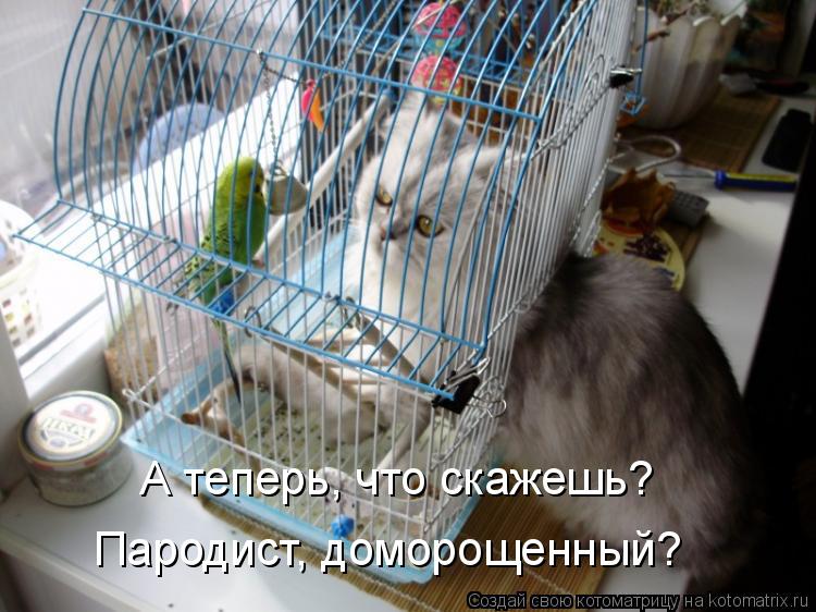Котоматрица: А теперь, что скажешь? Пародист, доморощенный?