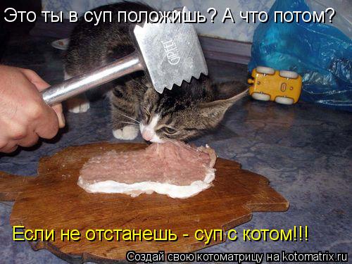 Это ты в суп положишь? А что потом? Если не отстанешь - суп с котом!!!... Котоматрица: Это ты в суп положишь? А что потом? Если не отстанешь - суп с котом!!!