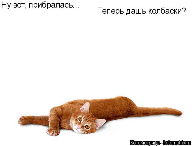 Ну вот, прибралась... Теперь дашь колбаски?... Котоматрица: Ну вот, прибралась... Теперь дашь колбаски?