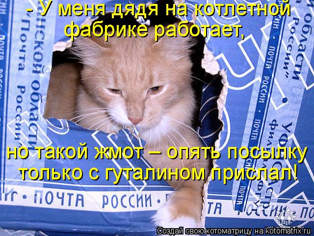 - У меня дядя на котлетной фабрике работает, только с гуталином прислал! но такой жмот – опять посылк... Котоматрица: - У меня дядя на котлетной фабрике работает, только с гуталином прислал! но такой жмот – опять посылку