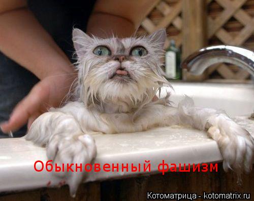 Обыкновенный фашизм... Котоматрица: Обыкновенный фашизм