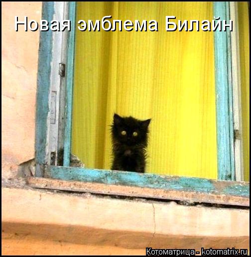 Новая эмблема Билайн... Котоматрица: Новая эмблема Билайн
