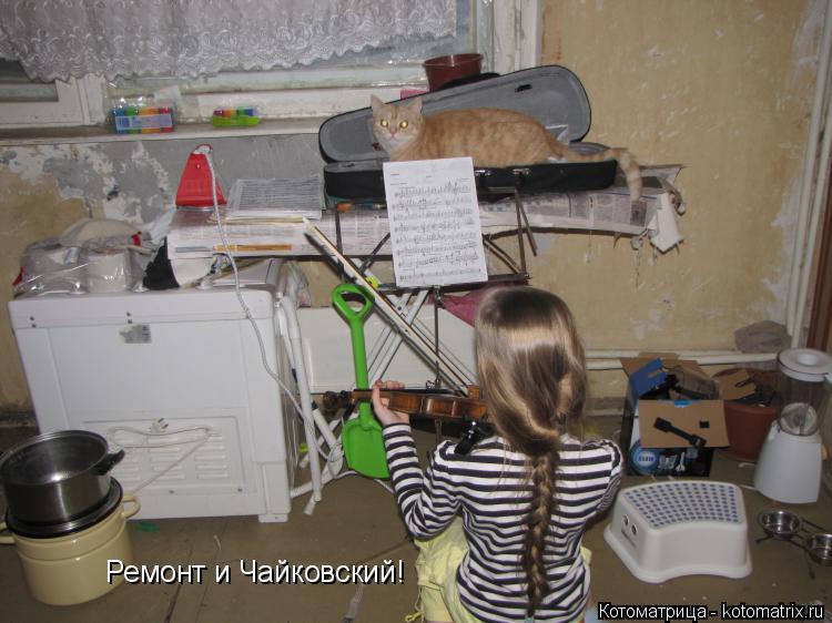 Ремонт и Чайковский!... Котоматрица: Ремонт и Чайковский!