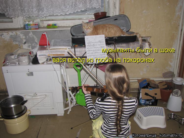 музыканты были в шоке вася встал из гроба на похоронах... Котоматрица: музыканты были в шоке вася встал из гроба на похоронах