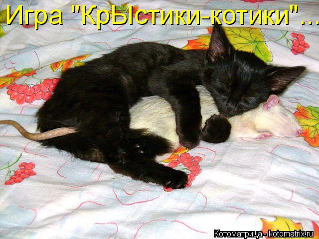 Игра "КрЫстики-котики"...... Котоматрица: Игра "КрЫстики-котики"...