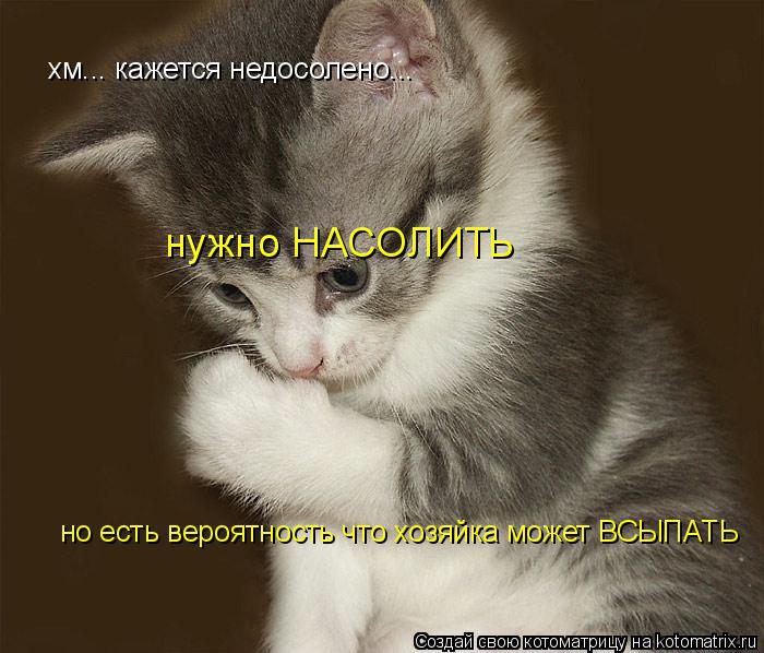 хм... кажется недосолено... нужно НАСОЛИТЬ но есть вероятность что хозяйка может ВСЫПАТЬ... Котоматрица: хм... кажется недосолено... нужно НАСОЛИТЬ но есть вероятность что хозяйка может ВСЫПАТЬ