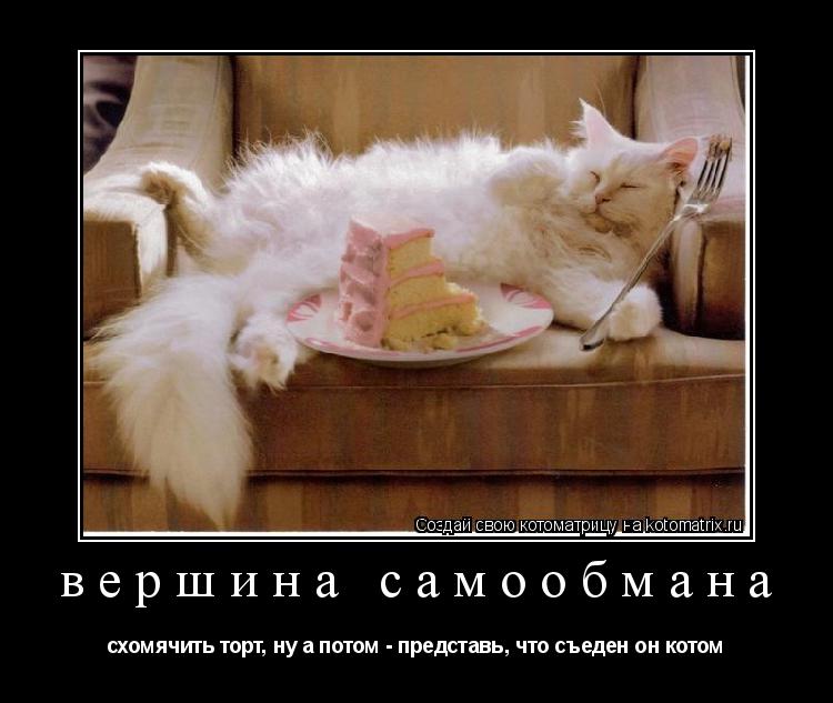 Котоматрица: вершина самообмана схомячить торт, ну а потом - представь, что съеден он котом