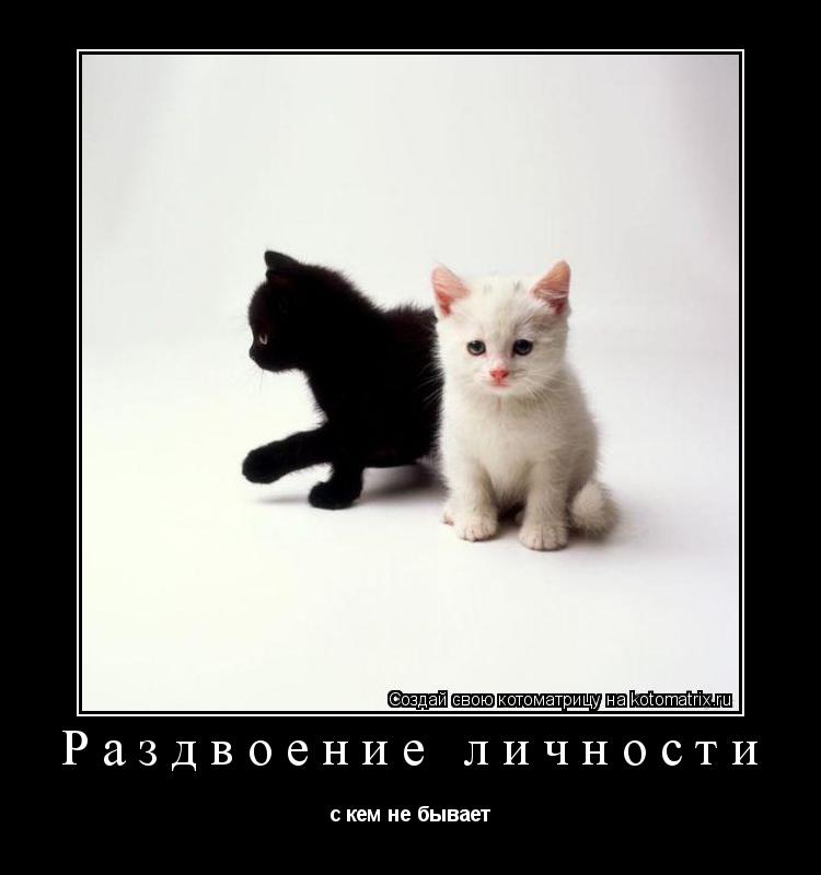Раздвоение личности с кем не бывает... Котоматрица: Раздвоение личности с кем не бывает