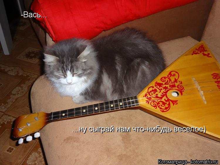 -Вась... ...ну сыграй нам что-нибудь веселое)... Котоматрица: -Вась... ...ну сыграй нам что-нибудь веселое)