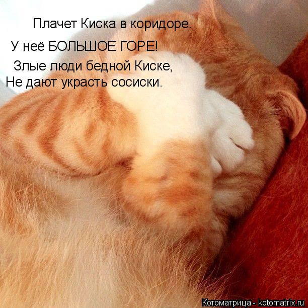 Плачет Киска в коридоре. У неё БОЛЬШОЕ ГОРЕ! Злые люди бедной Киске, Не дают украсть сосиски.... Котоматрица: Плачет Киска в коридоре. У неё БОЛЬШОЕ ГОРЕ! Злые люди бедной Киске, Не дают украсть сосиски.