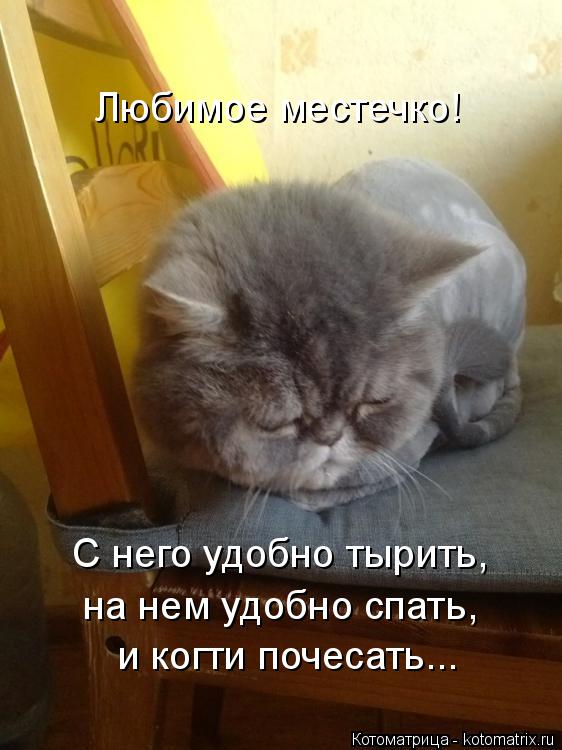 Любимое местечко! С него удобно тырить, на нем удобно спать, и когти почесать...... Котоматрица: Любимое местечко! С него удобно тырить, на нем удобно спать, и когти почесать...