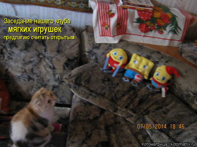 Заседание нашего клуба мягких игрушек предлагаю считать открытым... Котоматрица: Заседание нашего клуба мягких игрушек предлагаю считать открытым