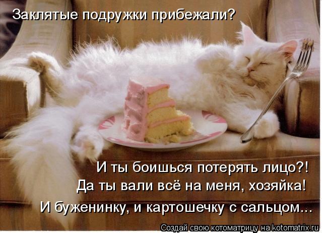 Заклятые подружки прибежали? И ты боишься потерять лицо?! Да ты вали всё на меня, хозяйка! И буженинк... Котоматрица: Заклятые подружки прибежали? И ты боишься потерять лицо?! Да ты вали всё на меня, хозяйка! И буженинку, и картошечку с сальцом...