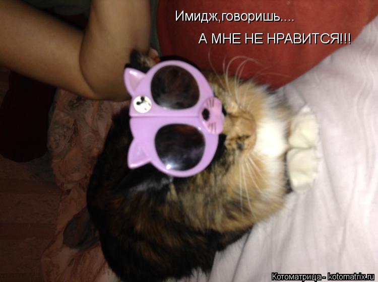 Имидж,говоришь.... А МНЕ НЕ НРАВИТСЯ!!!... Котоматрица: Имидж,говоришь.... А МНЕ НЕ НРАВИТСЯ!!!