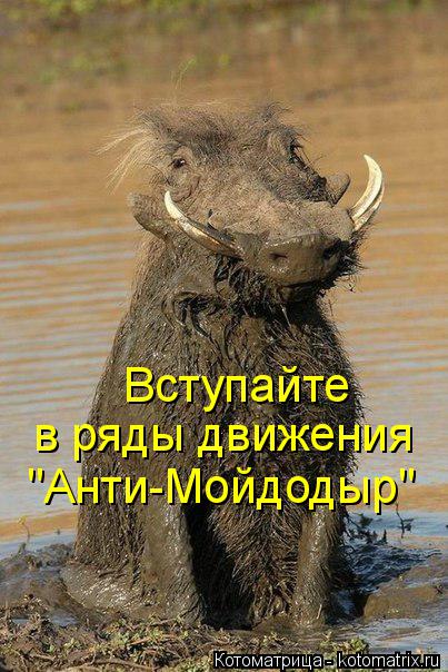 Котоматрица: Вступайте в ряды движения  "Анти-Мойдодыр" Вступайте в ряды движения "Анти-Мойдодыр"