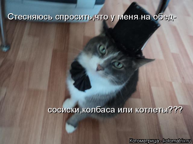 Стесняюсь спросить,что у меня на обед-сосиски,колбаска или котлеты? Стесняюсь спросить,что у меня на ... Котоматрица: Стесняюсь спросить,что у меня на обед-сосиски,колбаска или котлеты? Стесняюсь спросить,что у меня на обед- сосиски,колбаса или котлеты???