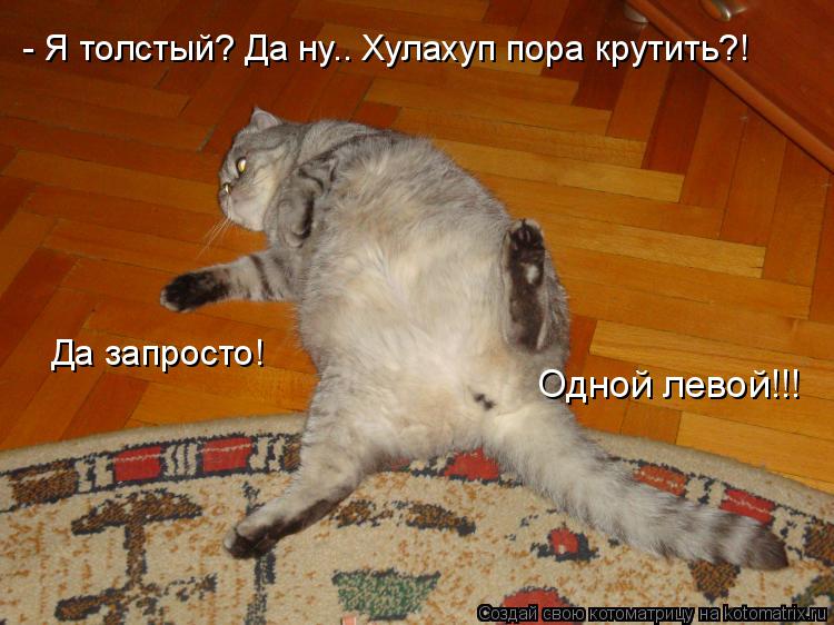 - Я толстый? Да ну.. Хулахуп пора крутить?! Да запросто! Одной левой!!!... Котоматрица: - Я толстый? Да ну.. Хулахуп пора крутить?! Да запросто! Одной левой!!!