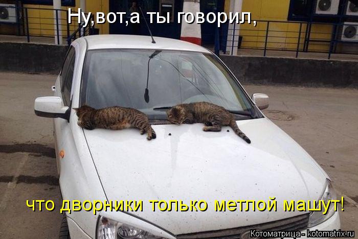 Ну,вот,а ты говорил, что дворники только метлой машут!... Котоматрица: Ну,вот,а ты говорил, что дворники только метлой машут!