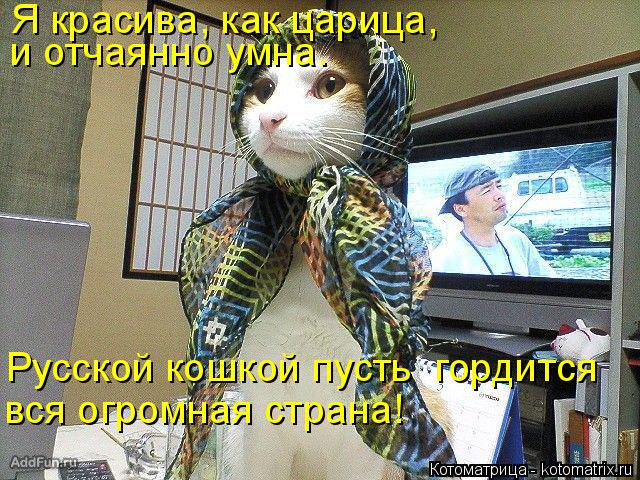 Русской кошкой пусть гордится вся огромная страна! Я красива, как царица, и отчаянно умна.... Котоматрица: Русской кошкой пусть гордится вся огромная страна! Я красива, как царица, и отчаянно умна.
