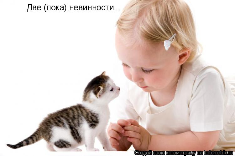 Две (пока) невинности...... Котоматрица: Две (пока) невинности...