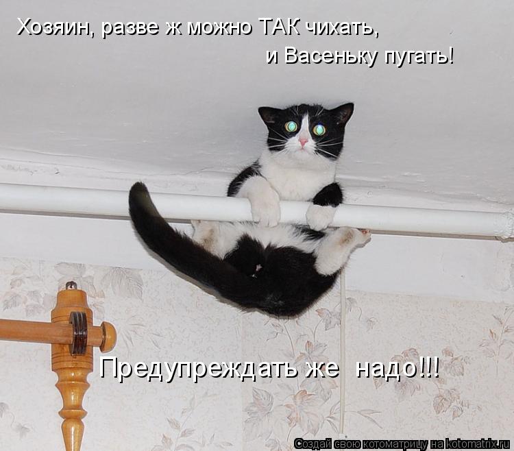 Хозяин, разве ж можно ТАК чихать, и Васеньку пугать! Предупреждать же надо!!!... Котоматрица: Хозяин, разве ж можно ТАК чихать, и Васеньку пугать! Предупреждать же надо!!!