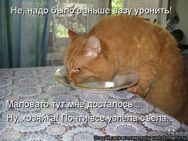 Не, надо было раньше вазу уронить! Маловато тут мне досталось... Ну, хозяйка! Почти все успела съела.... Котоматрица: Не, надо было раньше вазу уронить! Маловато тут мне досталось... Ну, хозяйка! Почти все успела съела...