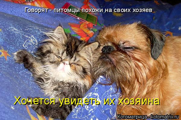 Говорят - питомцы похожи на своих хозяев Хочется увидеть их хозяина... Котоматрица: Говорят - питомцы похожи на своих хозяев Хочется увидеть их хозяина
