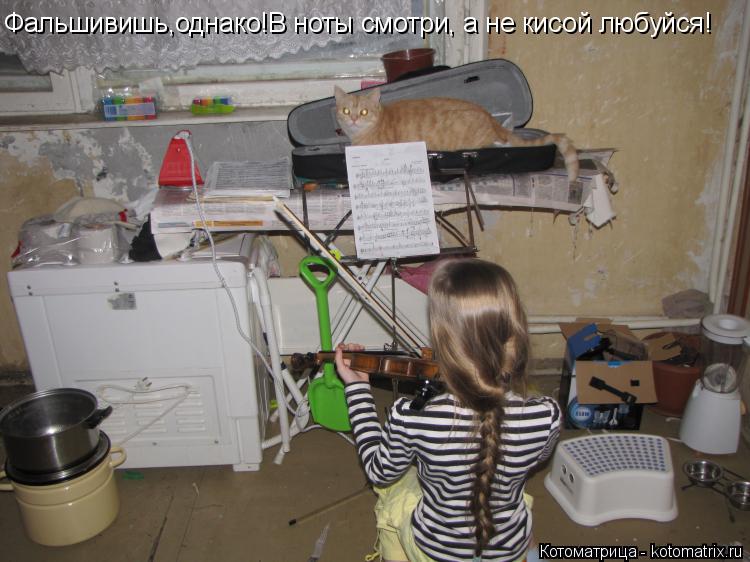 Фальшивишь,однако!В ноты смотри, а не кисой любуйся!... Котоматрица: Фальшивишь,однако!В ноты смотри, а не кисой любуйся!