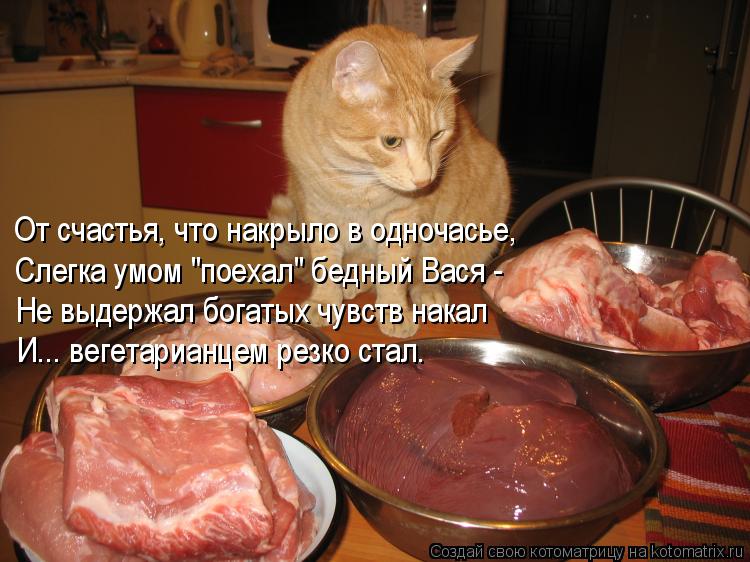 От счастья, что накрыло в одночасье, Слегка умом "поехал" бедный Вася - Не выдержал богатых чувств на... Котоматрица: От счастья, что накрыло в одночасье, Слегка умом "поехал" бедный Вася - Не выдержал богатых чувств накал И... вегетарианцем резко стал.