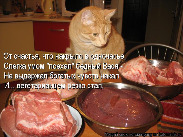 Котоматрица: От счастья, что накрыло в одночасье, Слегка умом "поехал" бедный Вася - Не выдержал богатых чувств накал И... вегетарианцем резко стал.