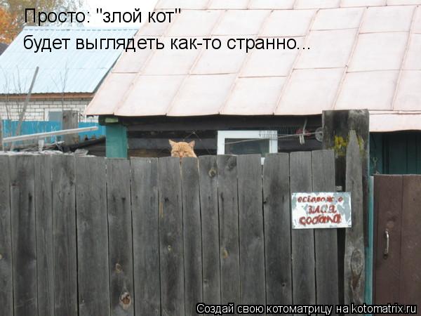 Просто: "злой кот" будет выглядеть как-то странно...... Котоматрица: Просто: "злой кот" будет выглядеть как-то странно...